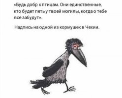 Срать они на неё будут