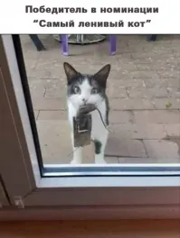 Лень-двигатель прогресса.