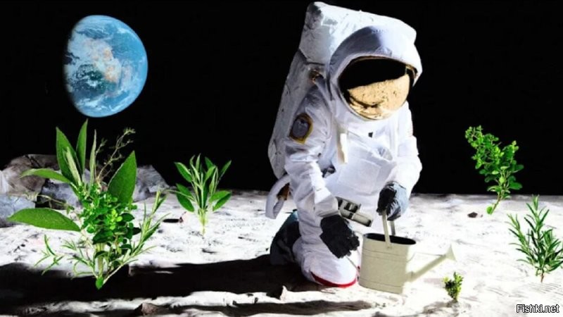 “Следующий шаг – вырастить растения на поверхности Луны”.