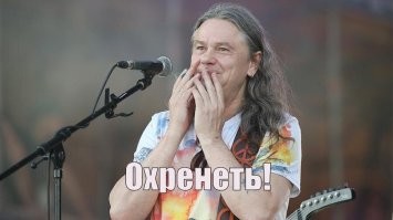 Чиж: Странная система доминирования — их альфа-самцы заставляют себя кормить рот в рот. Зачем это нужно?