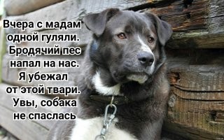 Смешные и познавательные картинки