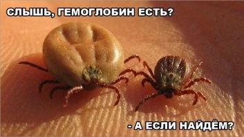 Тут весь вопрос в том, уважает ли тебя сама природа :)