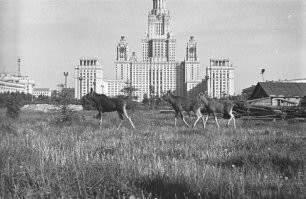 Жизнь течет, все меняется.... но на душе все равно как то противоречиво. И старое жалко из-за своей атмосферы, и хочется что бы новое хорошо смотрелось и глаз радовало...
Есть такая художественная короткометражка, у кого хватит терпения - советую глянуть. 
Печатников переулок дом 3
В свое время очень понравился снимок "лоси перед зданием МГУ"