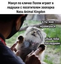 Олды поймут...