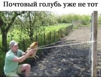 импортозамещение как оно есть.....