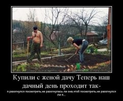 15 колоритных фото, которые поймут только те, у кого есть или была дача