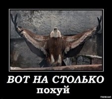 Вы даже не представляете!