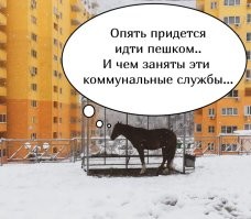 Финалисты конкурса уличной фотографии The Decisive Moments Magazine Awards 2021