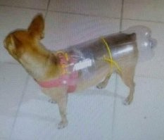 Когда ты в душе инженер, но даже не стараешься это скрывать