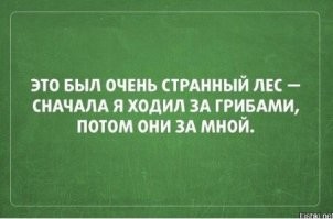15 фотографий необычных грибов, которые смогут вас удивить