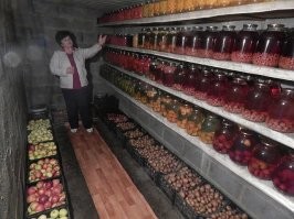 Как организовать пространство в погребе или подвале