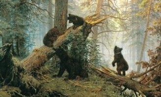 Я - художник, Я так вижу...