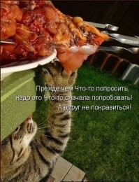ТСЯ!