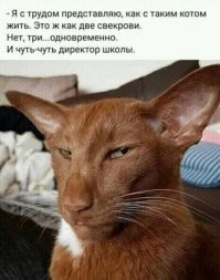 Так-то самый обыкновенный Рон Перлман
