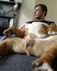 Для равновесия.