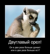 Почему двуглавый орёл стал официальным гербом России