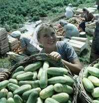 Действительно... Хорошо сохранилась )))