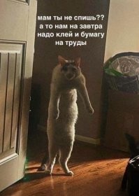Реальные будни мам, о которых не рассказывают в глянцевых журналах