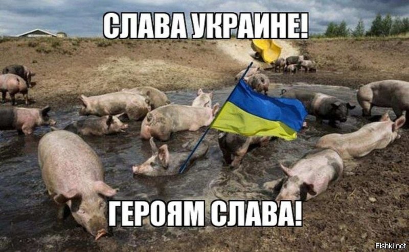 Украинцы решили поджечь российский флаг, но что то пошло не так