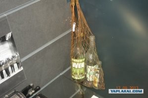 Жутковатые факты о пластиковом мусоре