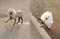 В мемасики лезет!