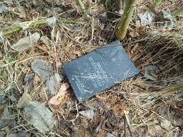 Интересные случаи, которые можно принять за выдумки, если бы не фото в телефоне