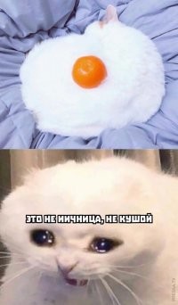 Усатый юмор. Часть 4