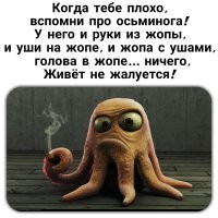 15 существ, в которых определенно есть кусочек инопланетной ДНК