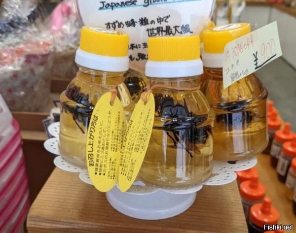Японцы с давних пор воюют с шершнями. Шершни часто нападают на пчелиные ульи, нанося колоссальный ущерб производителям меда. Но избавиться от вредителей японцам до сих пор не удалось. Своеобразной формой отмщения шершням стало то, что производители меда отлавливают этих насекомых и живыми помещают в банку с медом, где они погибают. Японцы искренне верят, что это лучший способ мести паразитам. А для человека мед с шершнем внутри не представляет опасности. Напротив, японцы утверждают, что такой продукт с "начинкой" в несколько раз вкуснее и полезнее. Умирая, шершни выделяют в жидкий мед специальные вещества, которые усиливают полезные свойства продукта.