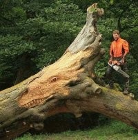 Странно как то получается, столько выпиливал и не одной сцуко опилочки не на штанах, не на бревне и земле. Мастер безконтактной резьбы по дереву не иначе.