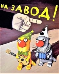 Вера Брежнева разгружает фуры в польском центре помощи беженцам