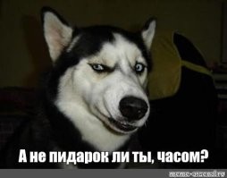странные у автора девушки