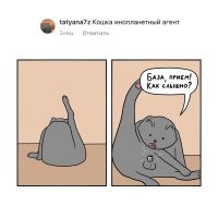 Это не кошка!