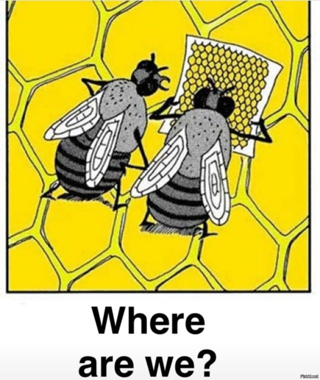 Пчелы ну и где мы блин