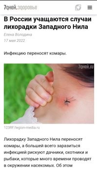 В Австралии и Канаде люди начали заражаться обезьяньей оспой