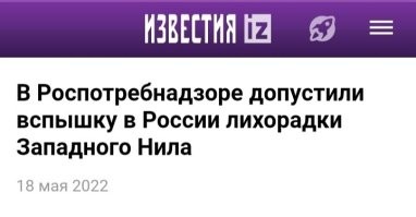 В Австралии и Канаде люди начали заражаться обезьяньей оспой