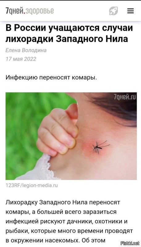 В Австралии и Канаде люди начали заражаться обезьяньей оспой