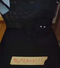 От курьёзных до слишком курьёзных: очень странные предупреждения