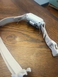 "Резиновые наконечники на ошейнике указывают на то, что они не используют функцию поражения электрическим током»

Еще как используют)))