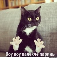 "Зеленскому - Оскар": британцы возмутились итогами Евровидения -2022