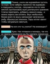 Африканские котлеты из мошек