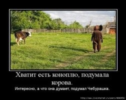 7 интересных фактов о том, как создавался мультфильм про Чебурашку и крокодила Гену