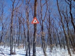 От курьёзных до слишком курьёзных: очень странные предупреждения