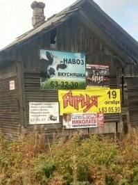 От курьёзных до слишком курьёзных: очень странные предупреждения