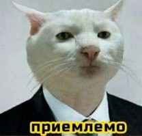Смешные комментарии из&nbsp;социальных сетей-69