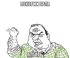 Кормившая ребёнка женщина отогнала хищную птицу от гуся