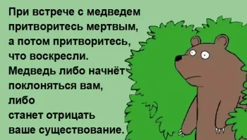 "Помойный кот": встреча мужчины с медведем в Норильске