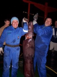 35 жутких фото, которые оправдывают боязнь глубокой воды