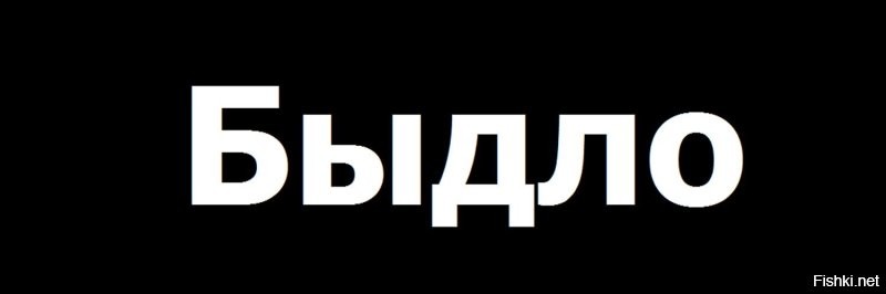 "В связи с положением": в караоке Белгорода отказались включать песню «Не твоя вiйна» - посетители устроили скандал