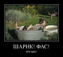 Можно взять емкость пошире.